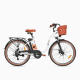 DYU C6 Pro 26 Inch City Electric Bike Preorder