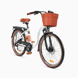 DYU C6 Pro 26 Inch City Electric Bike Preorder