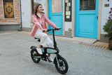 DYU C2 Foldable Electric Bike 2024 Version Preorder