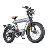 Coswheel T20R Cargo Fat Tire Electric Bike