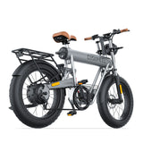 Coswheel T20R Cargo Fat Tire Electric Bike