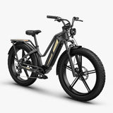 Fiido Titan Robust Cargo Electric Bike Preorder