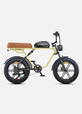 ENGWE M1 Dual Passenger Electric Bike - Preorder / single battery yellow color available