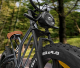 JANSNO X50 Electric Mountain Bike