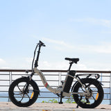 Bodywel F20 SE Electric Bike