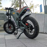 Coswheel GT20 Electric Bike - Pogo Cycles