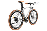 Fafrees F1 Electric Bike