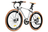 Fafrees F1 Electric Bike