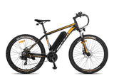 Fafrees F28 MT Mountain Electric Bike - Pogo Cycles