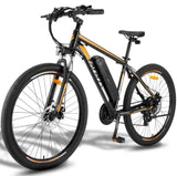 Fafrees F28 MT Mountain Electric Bike - Pogo Cycles