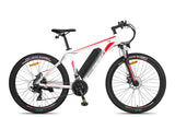 Fafrees F28 MT Mountain Electric Bike - Pogo Cycles