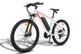 Fafrees F28 MT Mountain Electric Bike - Pogo Cycles