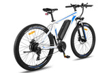 Fafrees F28 MT Mountain Electric Bike - Pogo Cycles