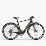 Fiido E-Gravel C21 Electric Bike