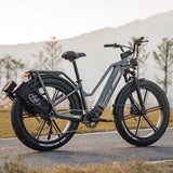 Fiido Titan Robust Cargo Electric Bike - Pogo Cycles