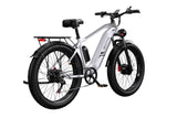 DUOTTS F26 Pro Electric Mountain Bike