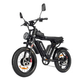 Ridstar Q20 Pro Electric Bike - Preorder