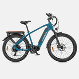 Crazybird Seta E-Bike