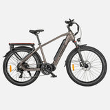 Crazybird Seta E-Bike