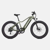 Crazybird Jumper E-Bike - Pogo Cycles