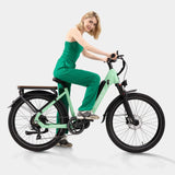 Crazybird Seta E-Bike - Pogo Cycles