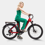 Crazybird Seta E-Bike - Pogo Cycles