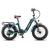 FAFREES F20 Master E-bike - Pogo Cycles